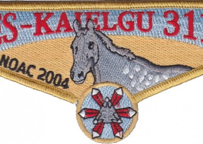 311 Es Kaielgu S-23