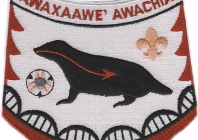 535 Awaxaawe Awachia 2001seg