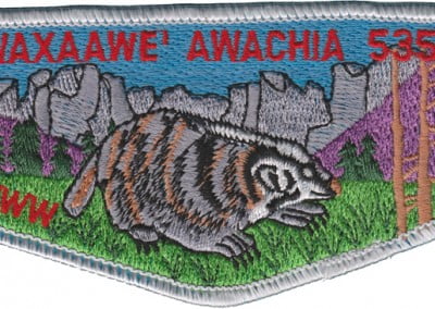 535 Awaxaawe Awachia S-4