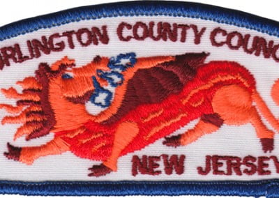 Burlington County T-12