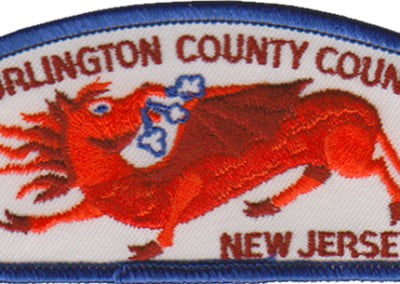 Burlington County T-6