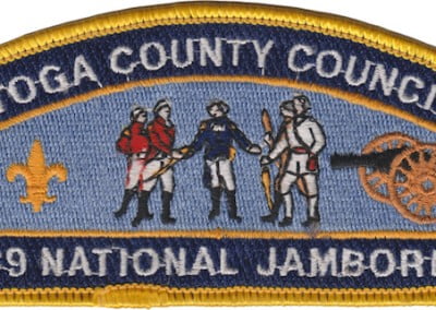 Saratoga County 1989 JSP